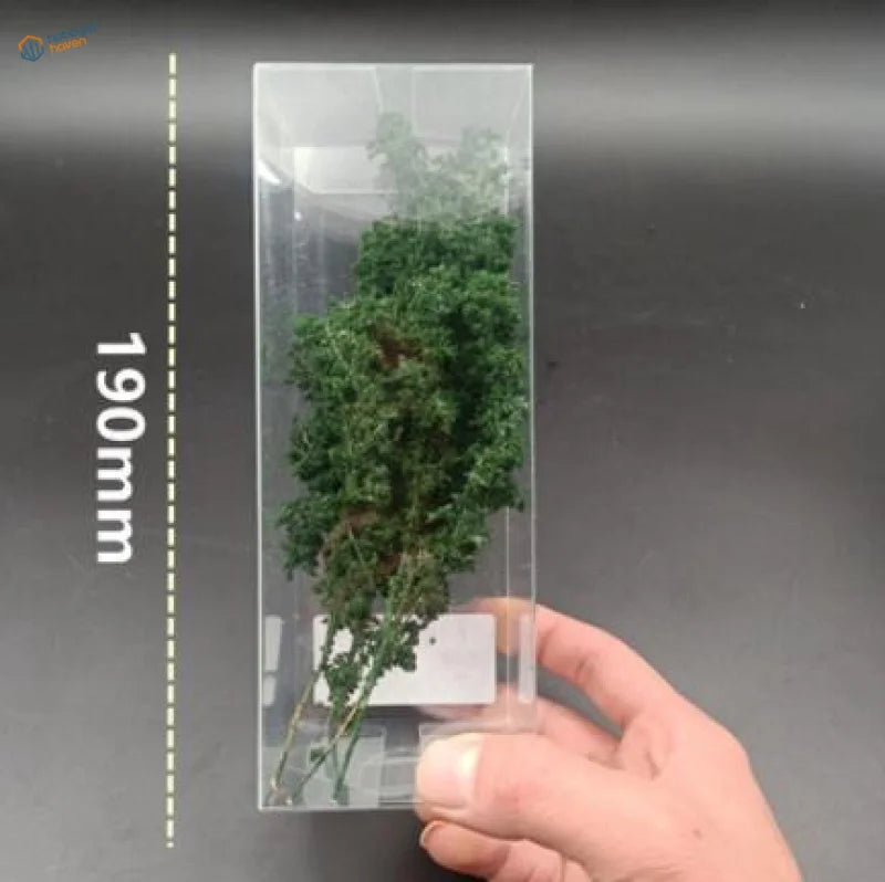 Fresh dark green curly kale in clear container for 1/35 1/48 1/16 dense tree scale modeling tools