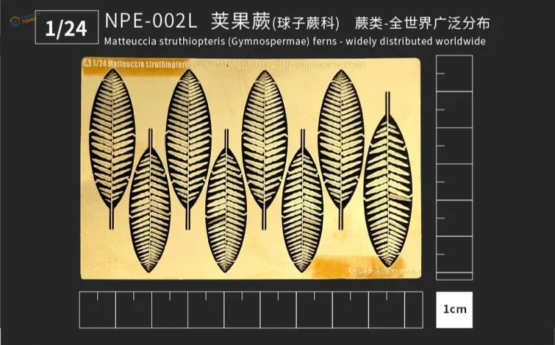Gold ostrich fern PE stencil for 1/48 1/35 1/24 scale modeling tools