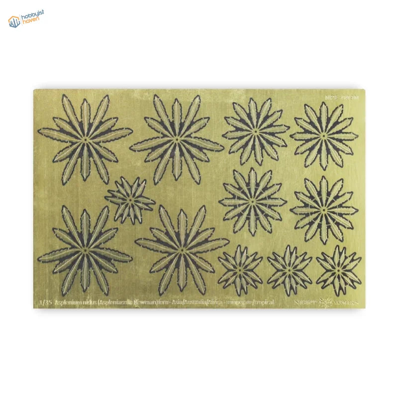 Brass PE tropical plant 2 sheet with starburst patterns for scale modeling tools