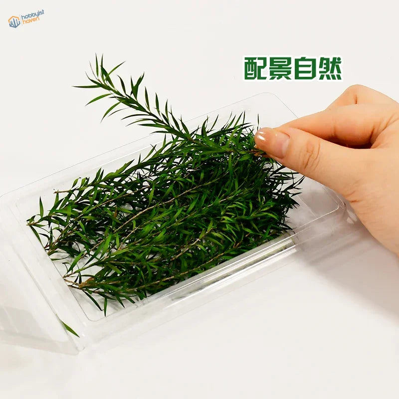 Fresh green rosemary sprigs in 10pcs 100-150mm miniature reed plants for scale modeling tools