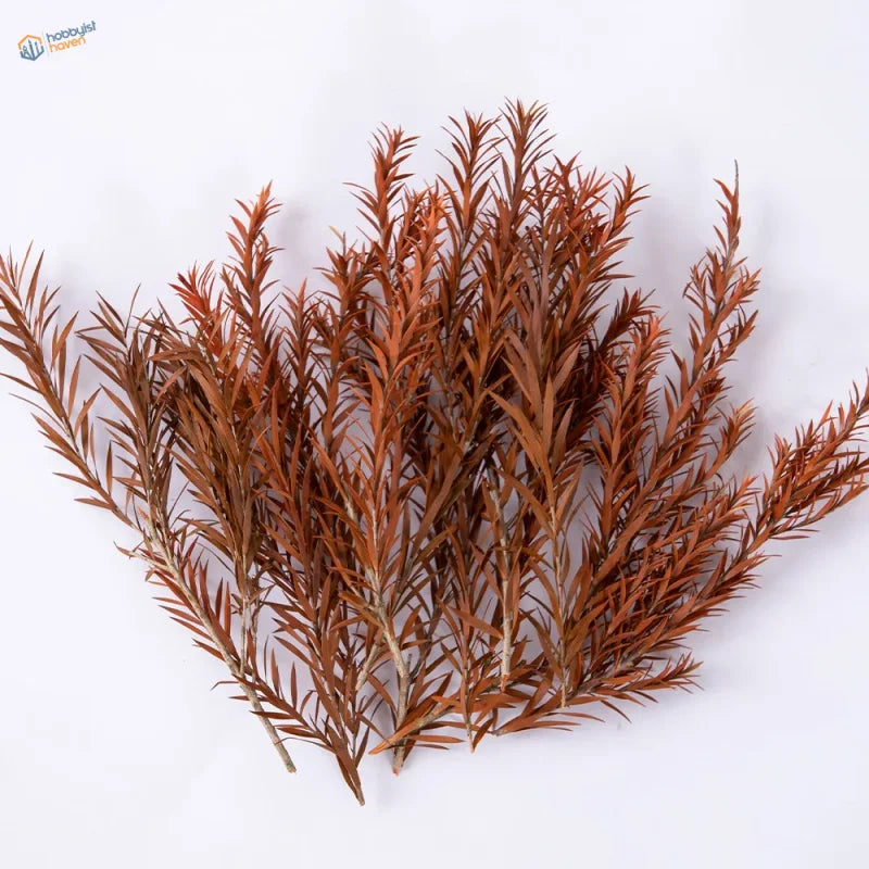 10pcs 100-150mm rust-colored miniature eucalyptus for scale modeling tools