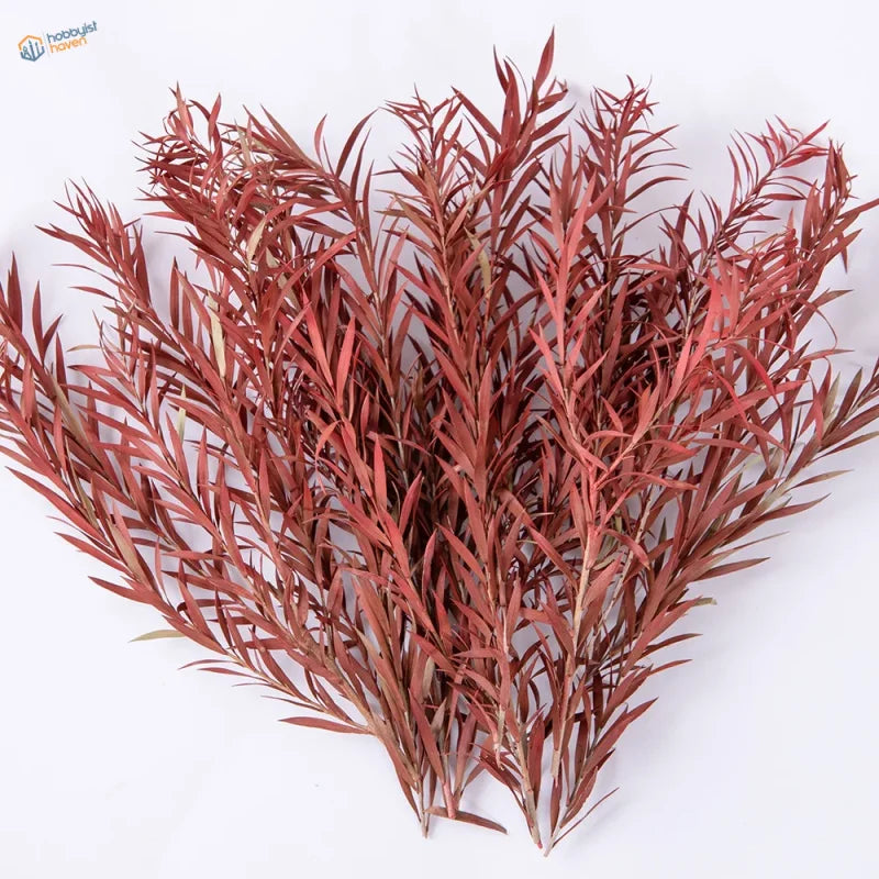 10pcs 100-150mm miniature red eucalyptus for scale modeling tools