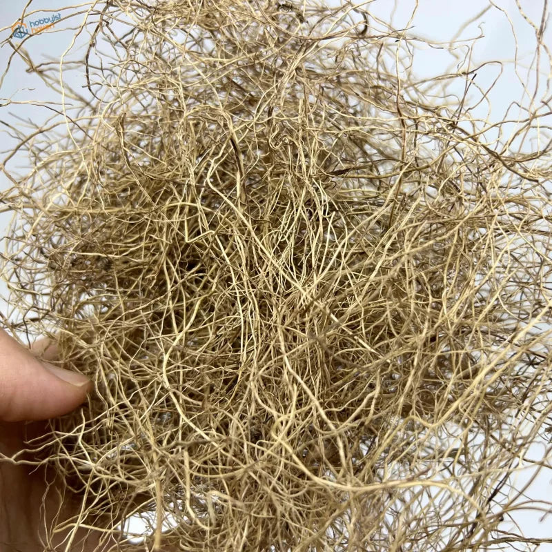 Tangled 20g plant roots of dried light brown Spanish moss wispy strands