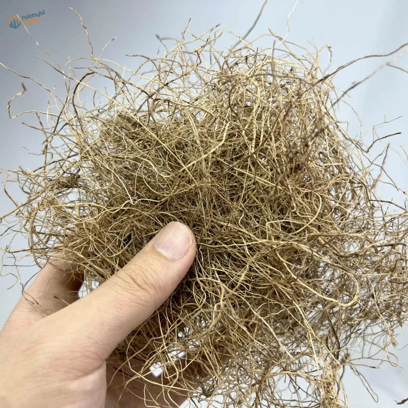 Hand holding tangled 20g plant roots vine hay