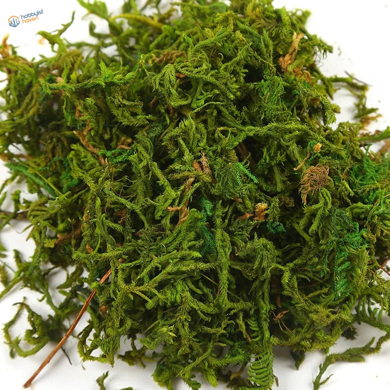 Vibrant artificial moss pile for model building, 30-60g bag, textured green