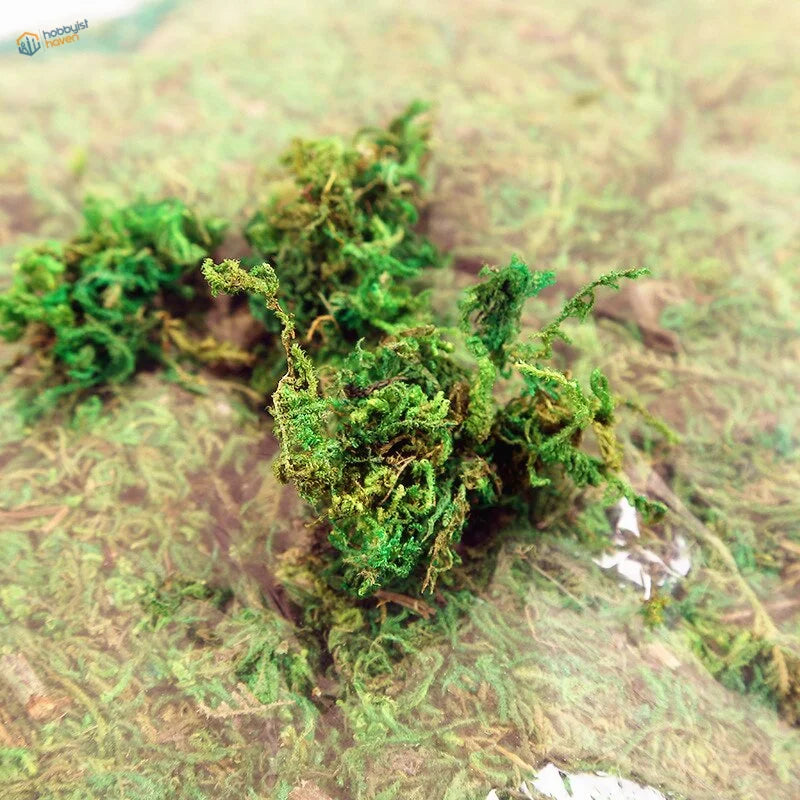 Vibrant artificial moss clumps for model building, 30-60g bag