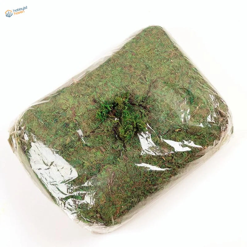 30/60g bag of green moss for scale models in clear plastic wrap