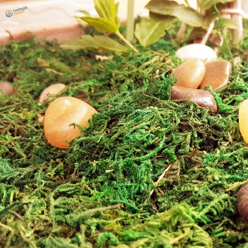 Smooth peach stones in vibrant green moss for 30/60g bag, scale modeling tools