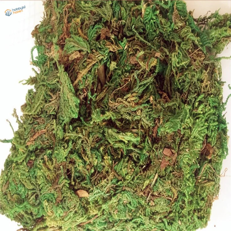 Dense green moss pile for scale models, 30/60g bag texture