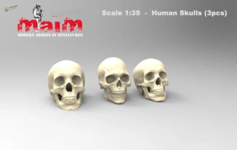 3pcs 1/35 resin skulls set with detailed off-white skull miniatures