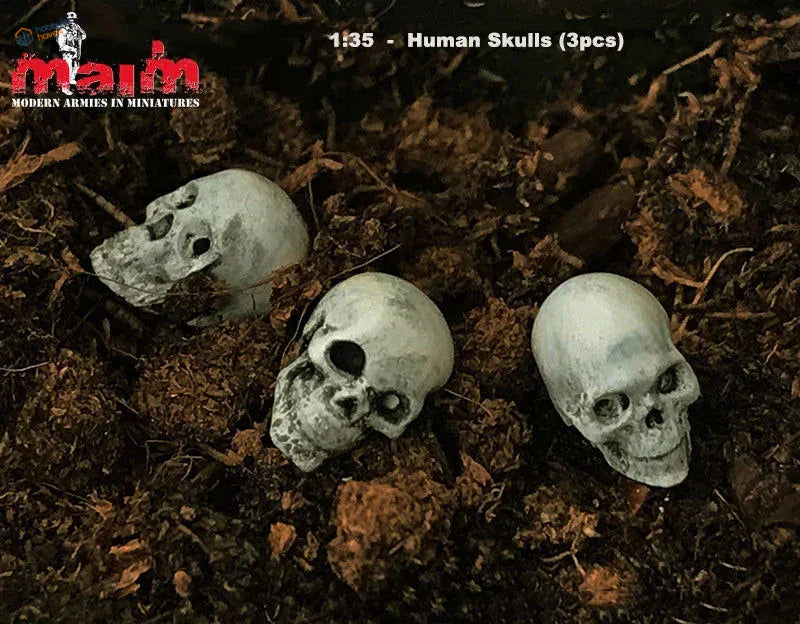3pcs 1/35 resin skulls set with weathered off-white skulls in dark soil