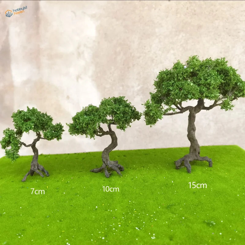 Three 4-15cm scale mountain pine trees with twisted trunks on grass