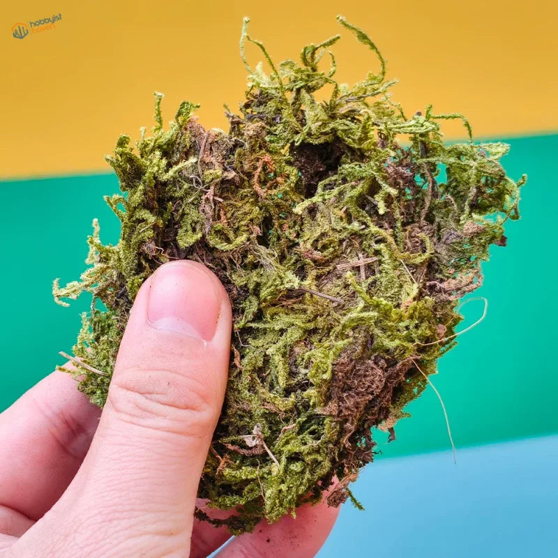 Vibrant artificial green moss clump with textured brown tones for scale models