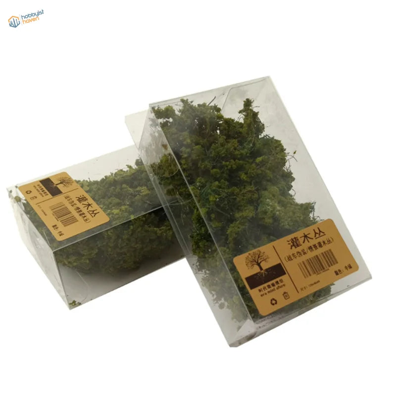 Two transparent containers of dried green moss for miniature bushes in dioramas
