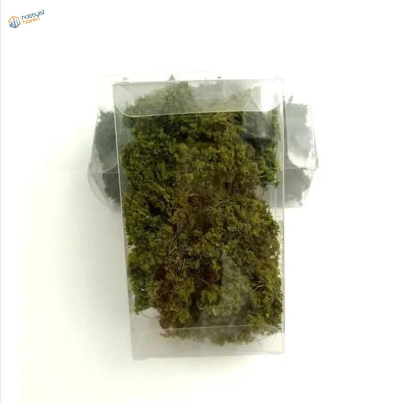 Miniature bush for dioramas in transparent container with dark green moss