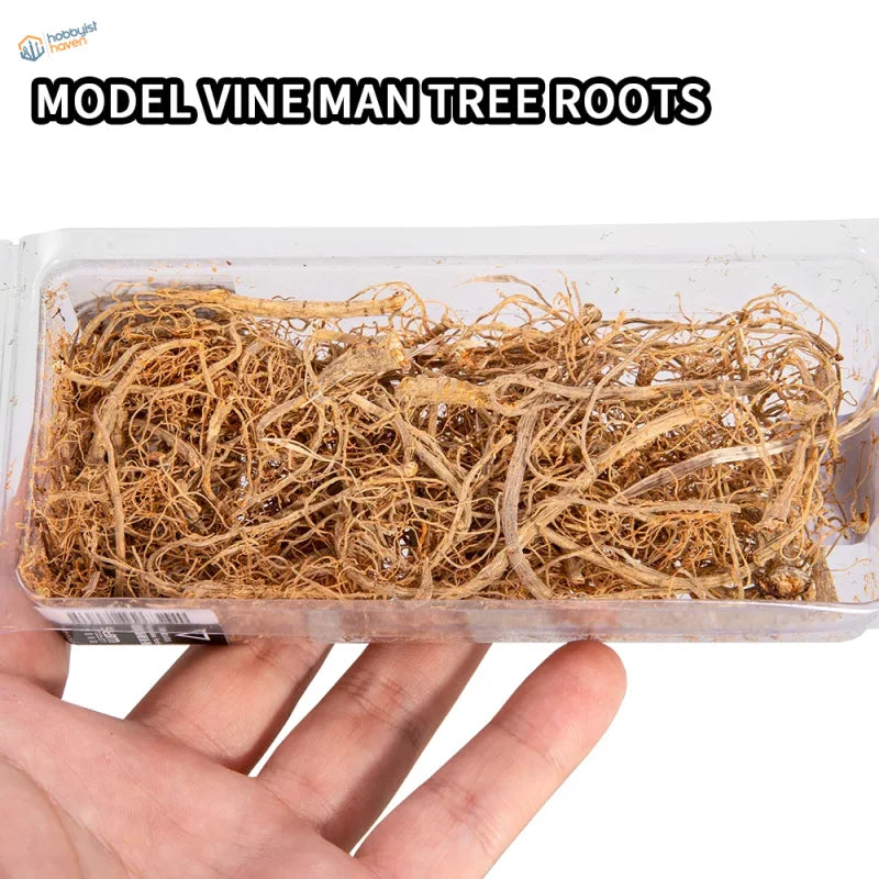 Miniature vine tree roots in transparent plastic container