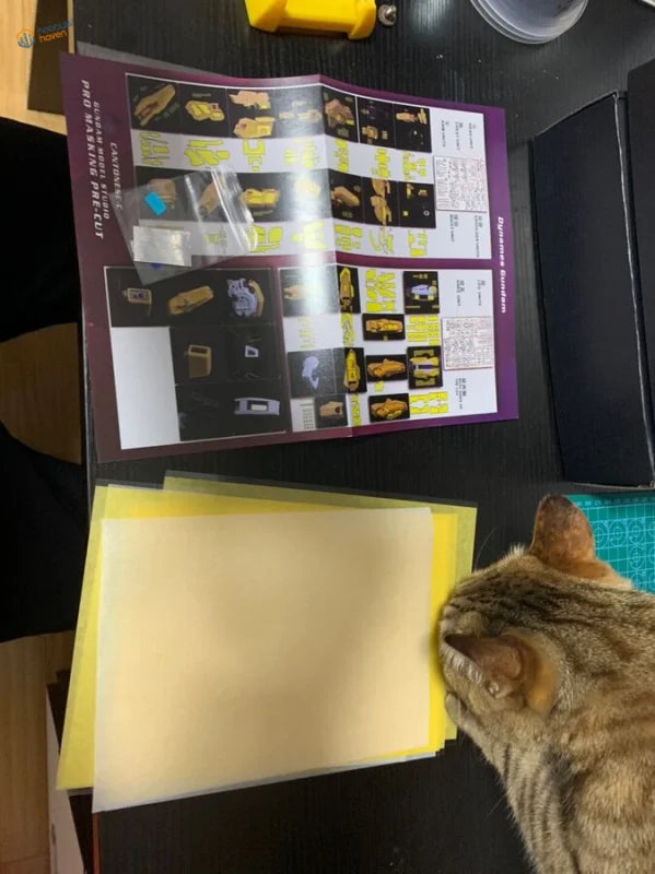Tabby cat on Fortune Meow’s Studio pre-cut masking tape sheets