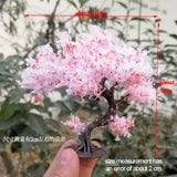 Miniature 10/15/20cm model cherry tree with pink blossoms