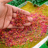 Hand holding 10g Tree Powder of colorful dried miniature flowers for scale modeling tools