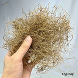 Hand holding 20g plant roots, tangled dried light brown fibers