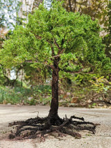 Scale model tree with a dense green canopy on a dark brown trunk