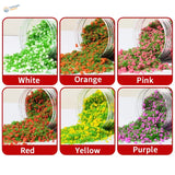 Six 20g flowery tree powder jars with colorful confetti