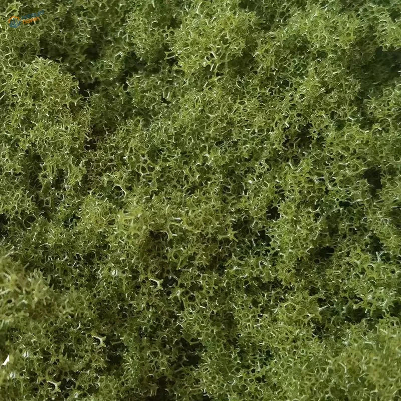 22g Green Tree Powder: green fluffy curly moss for scale modeling tools