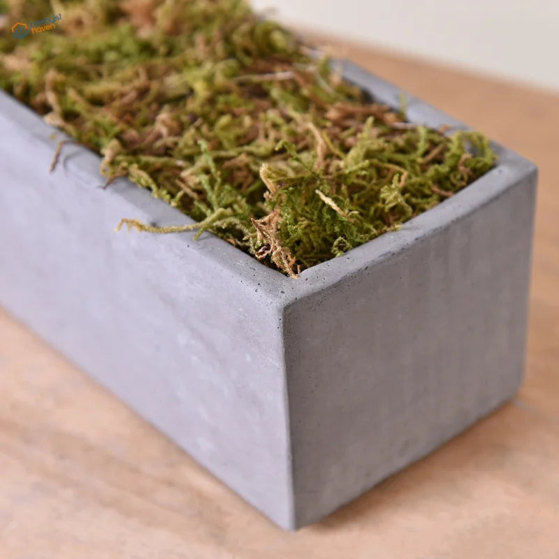 Gray concrete planter with artificial moss for model building