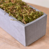 Gray concrete planter with artificial moss for model building
