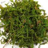 Vibrant artificial moss pile for model building, 30-60g bag, textured green