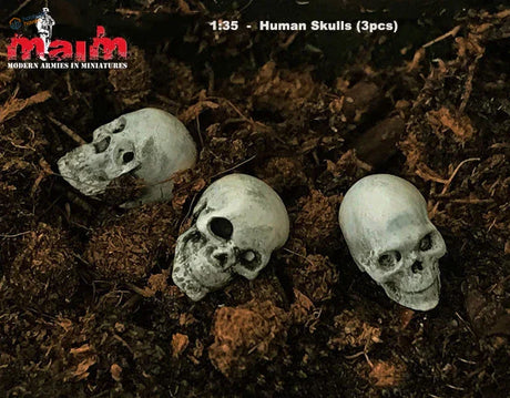 3pcs 1/35 resin skulls set with weathered off-white skulls in dark soil