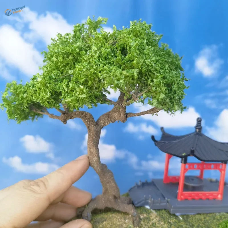 Miniature 4-15cm scale mountain pine tree with dense green foliage