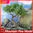 4-15cm scale mountain pine tree with twisted trunk for dioramas