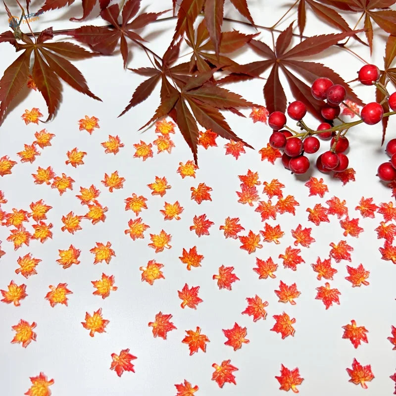 Vibrant red maple leaves confetti scattered on white surface