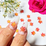 Delicate orange yellow red maple leaves decals on long white almond nails
