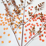 Delicate artificial red maple leaves in orange-yellow autumn arrangement