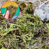 Vibrant artificial green moss clump with textured brown earthy tones for scale models