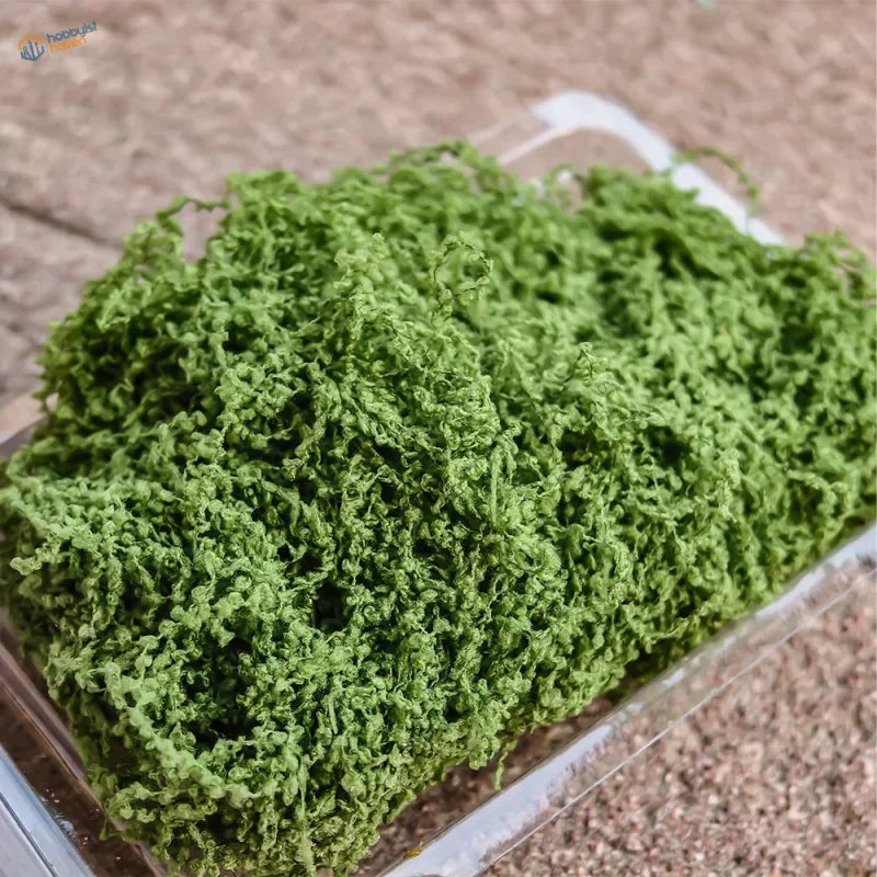 Artificial green moss filler in clear container for scale models