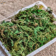 Vibrant artificial green moss in container for scale models