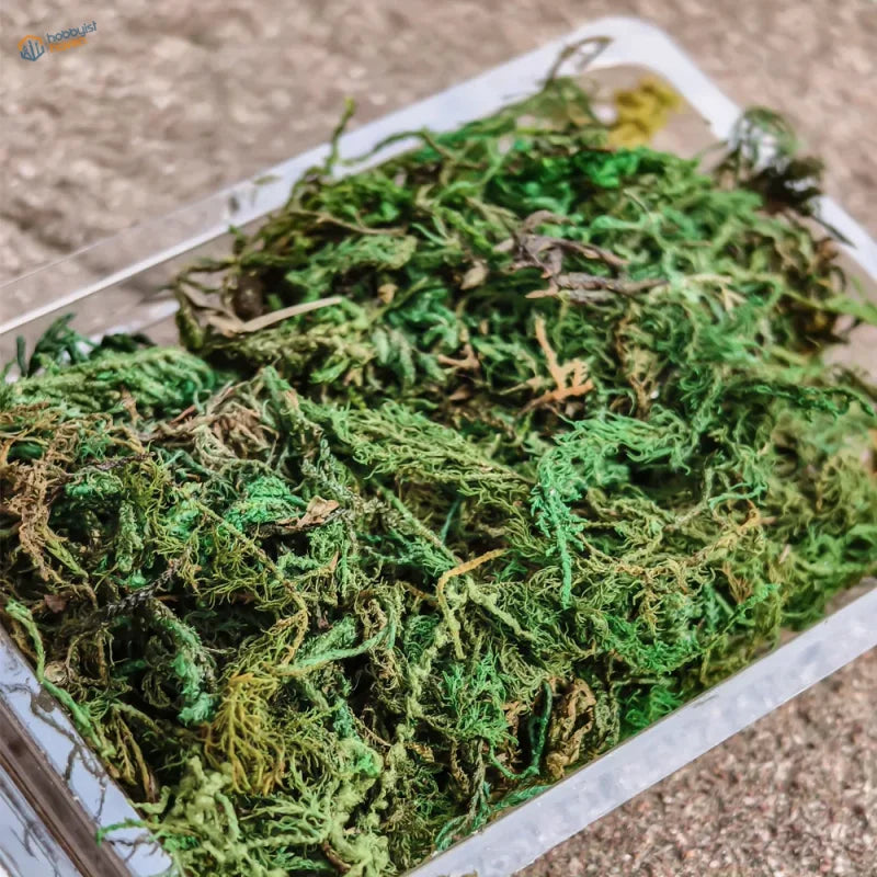 Vibrant artificial green moss in container for scale models