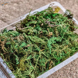Vibrant artificial green moss in container for scale models