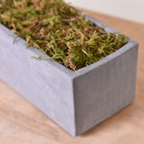 Gray concrete planter with artificial moss for model building