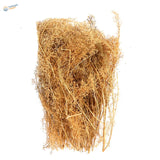 Dry shrubs bundle with feathery fronds for diorama creation