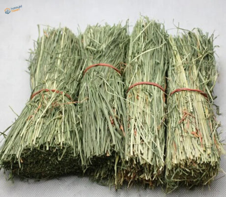 Four straw huts: neatly bundled light green hay packages tied with reddish-brown twine