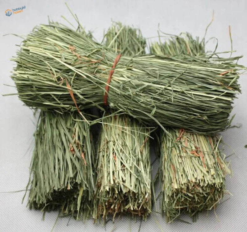 Bundles of dried green hay tied with reddish-brown twine in Four Straw Huts