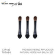 Galaxy Model three black-handled horsehair brushes with sponge tips