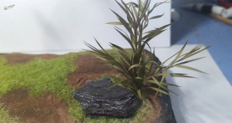 Miniature long leaf shrubs with pointed leaves on textured rock base