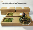 Long leaf shrubs in clear resin with grass and stones, boxed