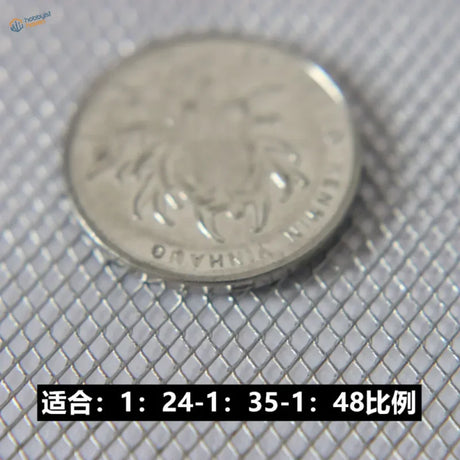 Silver miniature metal mesh coin with embossed insect and yanhua text