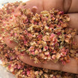 Hand holding miniature pink leaves with dried pink and beige petals